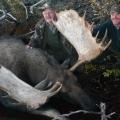 Canada Moose Hunts