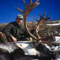 Mountain Caribou Hunts