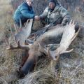 Canada Moose Hunts