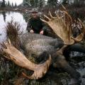 Canada Moose Hunts