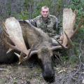 Canada Moose Hunts