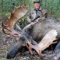 Canada Moose Hunts