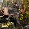 Canada Moose Hunts