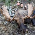 Canada Moose Hunts