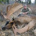 Canada Moose Hunts