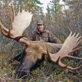 Canada Moose Hunts