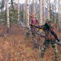 Canada Moose Hunts