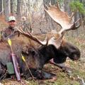 Canada Moose Hunts