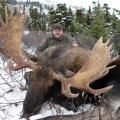 Canada Moose Hunts