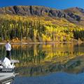 Canada Moose Hunts