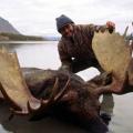 Canada Moose Hunts