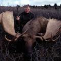 Canada Moose Hunts